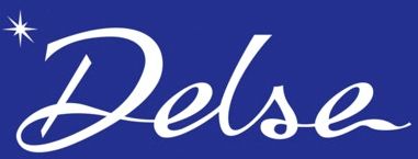 Delse Hair & Beauty Store logo fondo azul